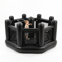 Mini Multi-Play Arena — Founding Family (First 100, Free Shipping)